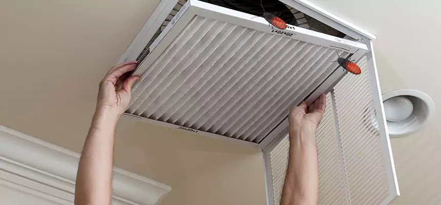 Preventive Cockroach-Proofing for Ducts in Hutchinson