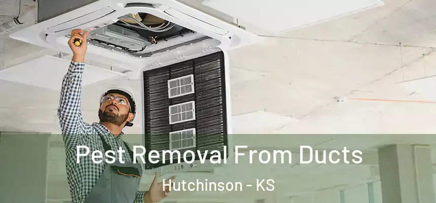  Pest Removal From Ducts Hutchinson - KS