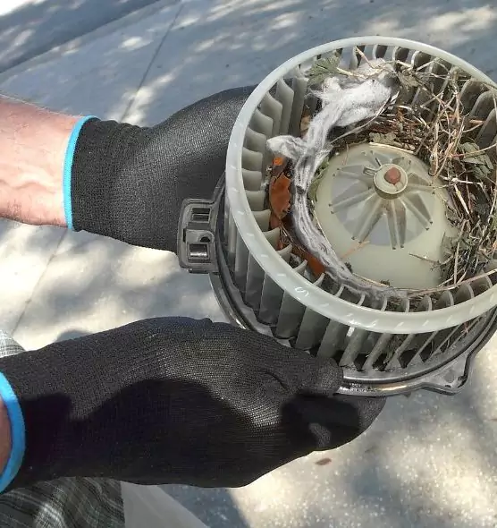 About Air Duct Rat Removal in Hutchinson, KS